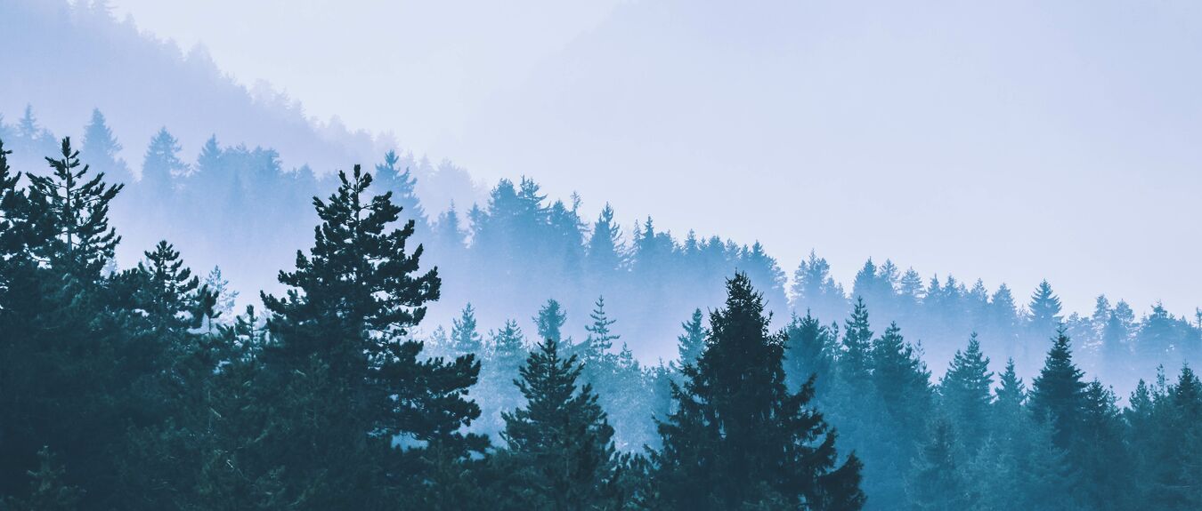 image_1