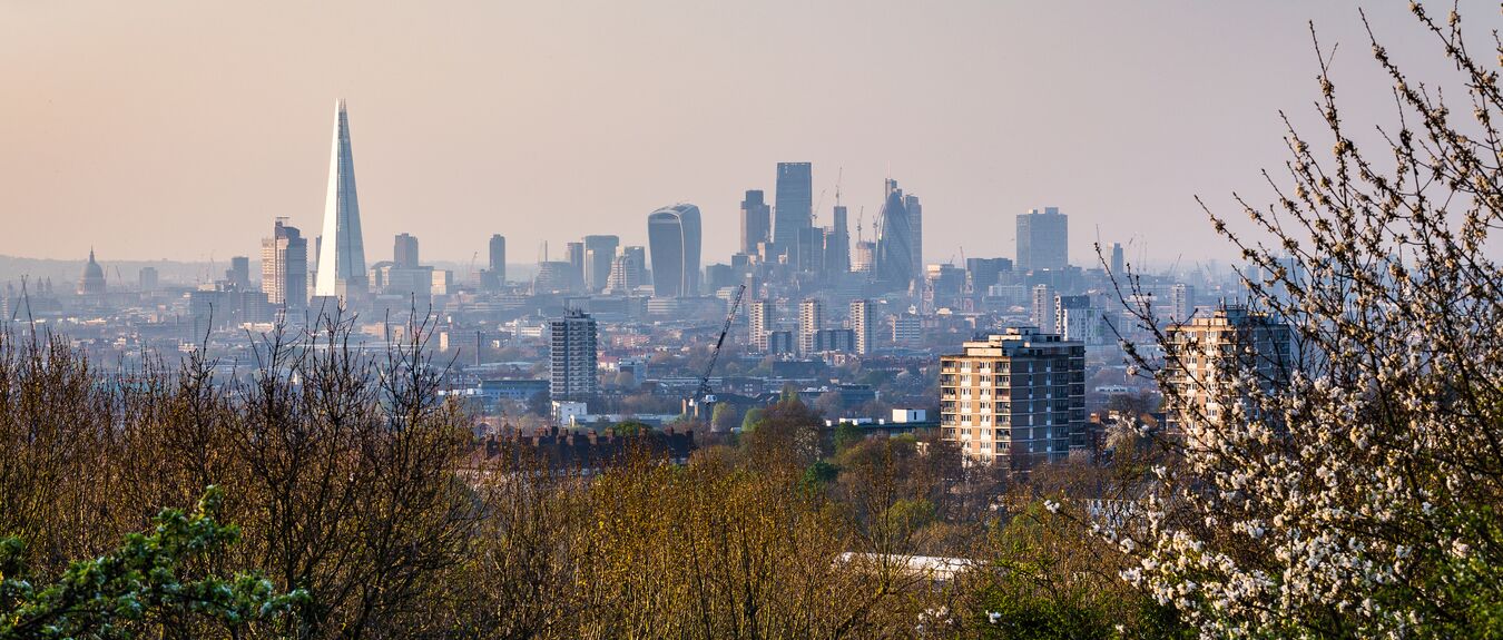 image_1